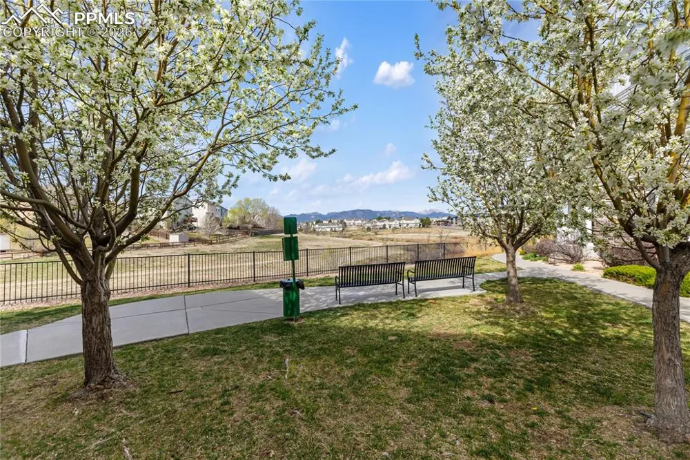 7309 Sandy Springs Point Fountain, CO 80817