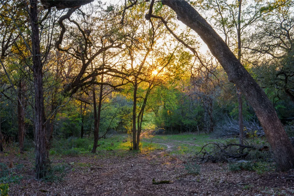 1700 County Road 216 Giddings, TX 78942