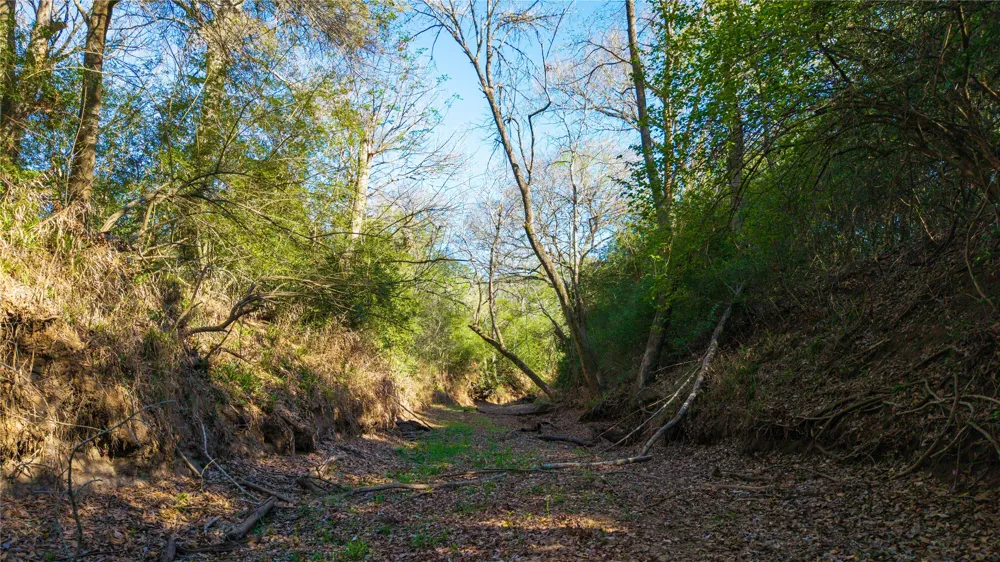 1700 County Road 216 Giddings, TX 78942