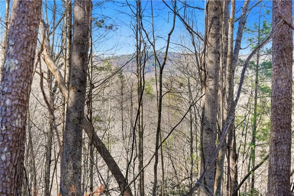 0 Mill Run Sautee Nacoochee, GA 30571