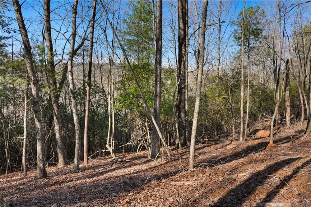 0 Mill Run Sautee Nacoochee, GA 30571