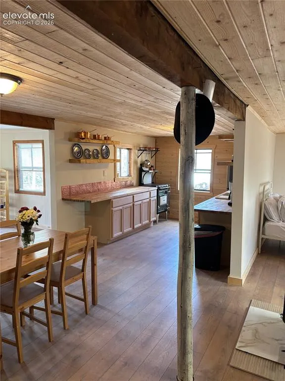 3800 Doe Valley Road Guffey, CO 80820