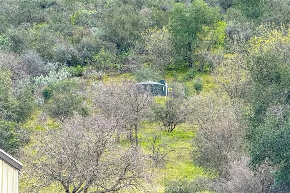 3151 Parkhill Santa Margarita, CA 93453