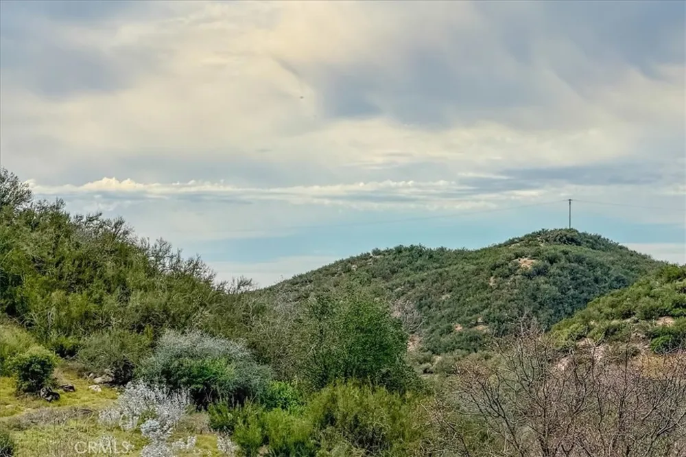 3151 Parkhill Santa Margarita, CA 93453
