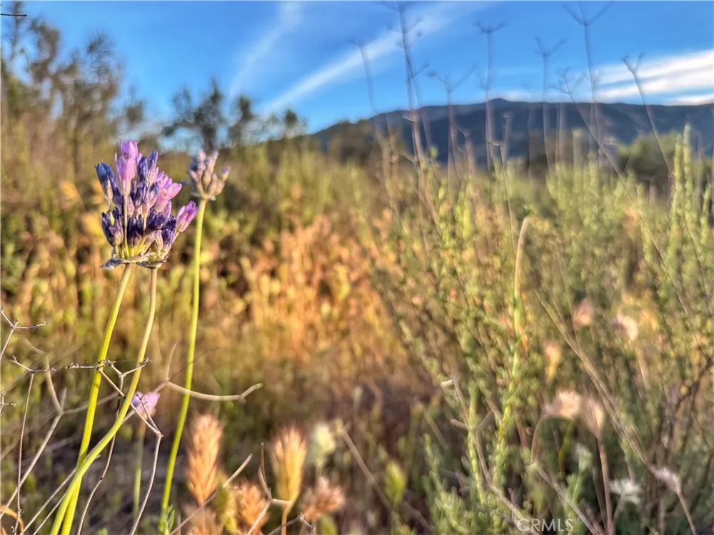 Highway 79 Warner Springs, CA 92086