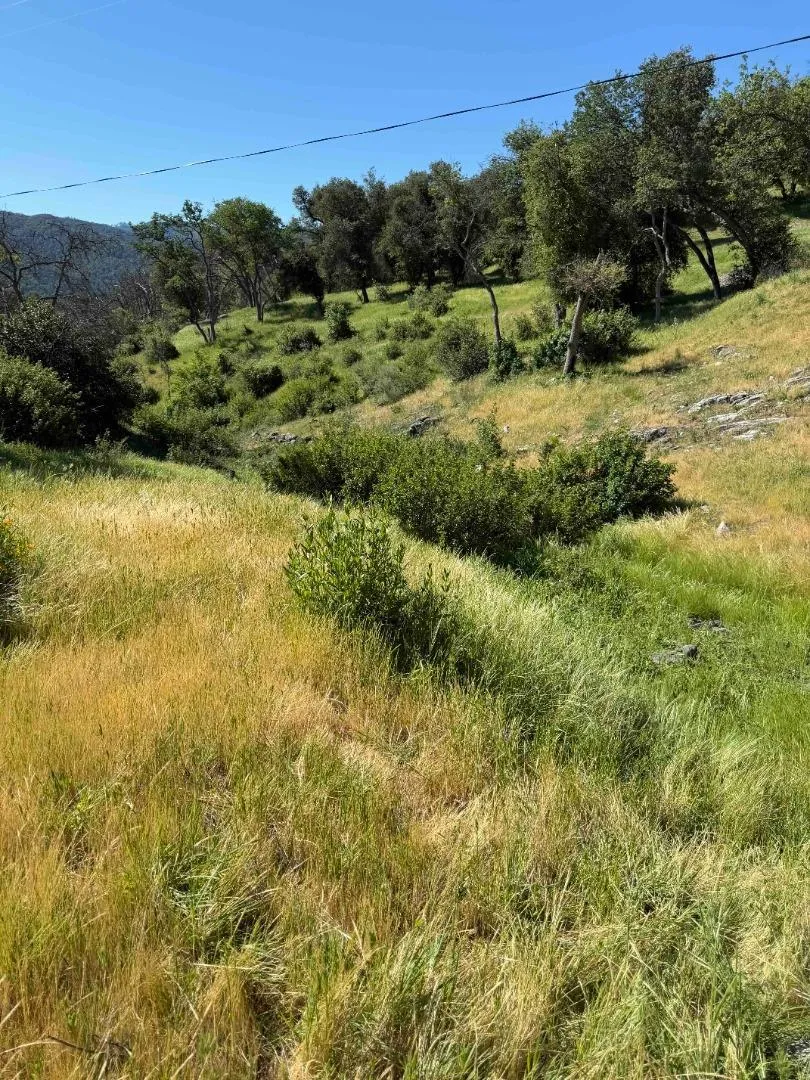 109 Trampa Canyon Road Carmel Valley, CA 93924