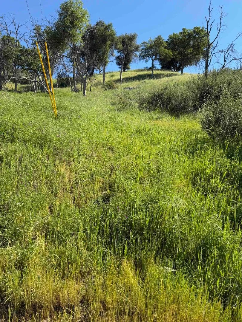 109 Trampa Canyon Road Carmel Valley, CA 93924