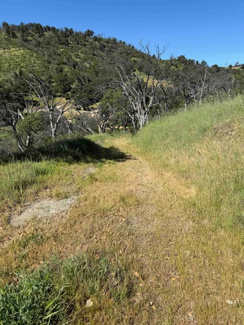 109 Trampa Canyon Road Carmel Valley, CA 93924