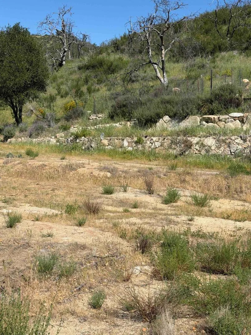 109 Trampa Canyon Road Carmel Valley, CA 93924