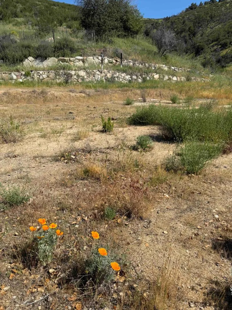 109 Trampa Canyon Road Carmel Valley, CA 93924