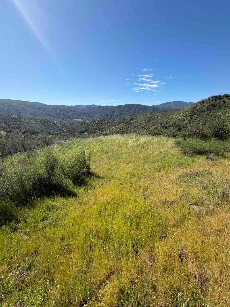 109 Trampa Canyon Road Carmel Valley, CA 93924