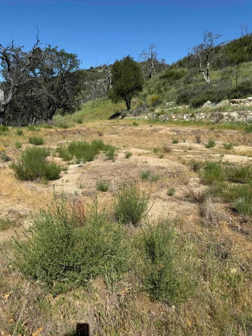 109 Trampa Canyon Road Carmel Valley, CA 93924