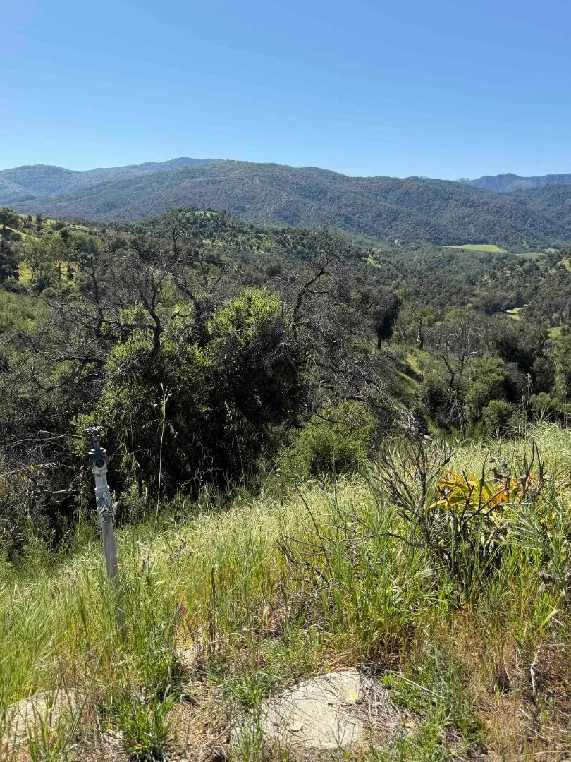 109 Trampa Canyon Road Carmel Valley, CA 93924