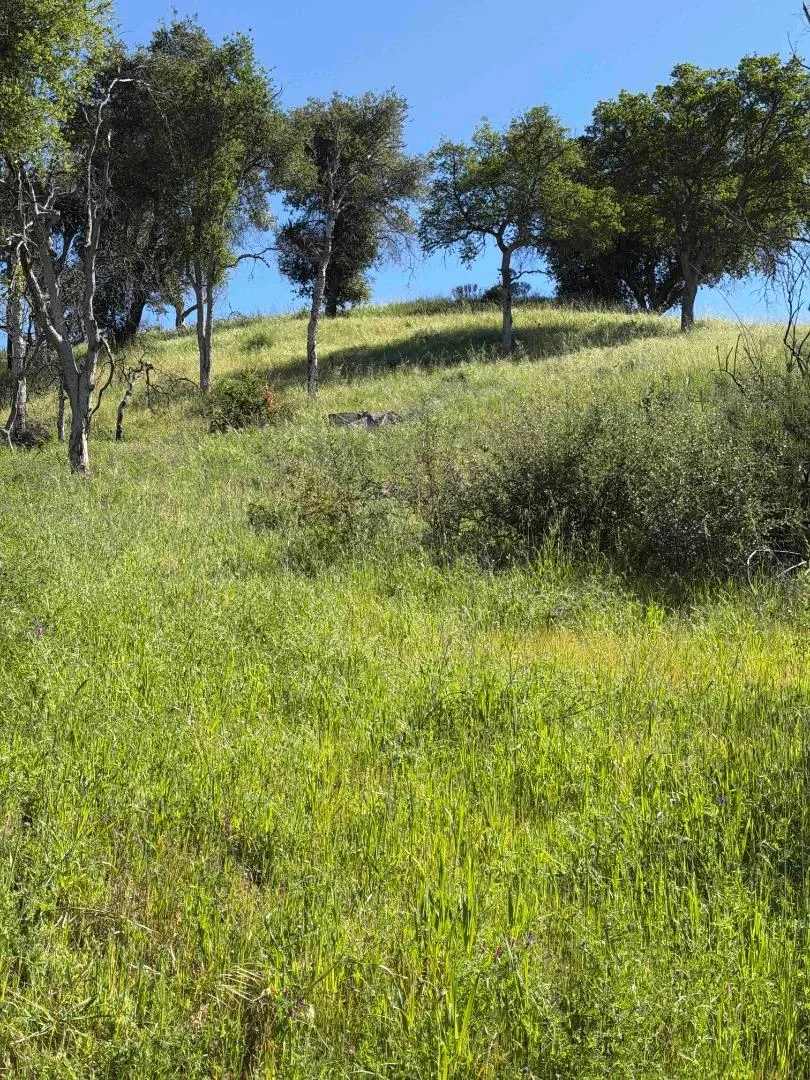 109 Trampa Canyon Road Carmel Valley, CA 93924