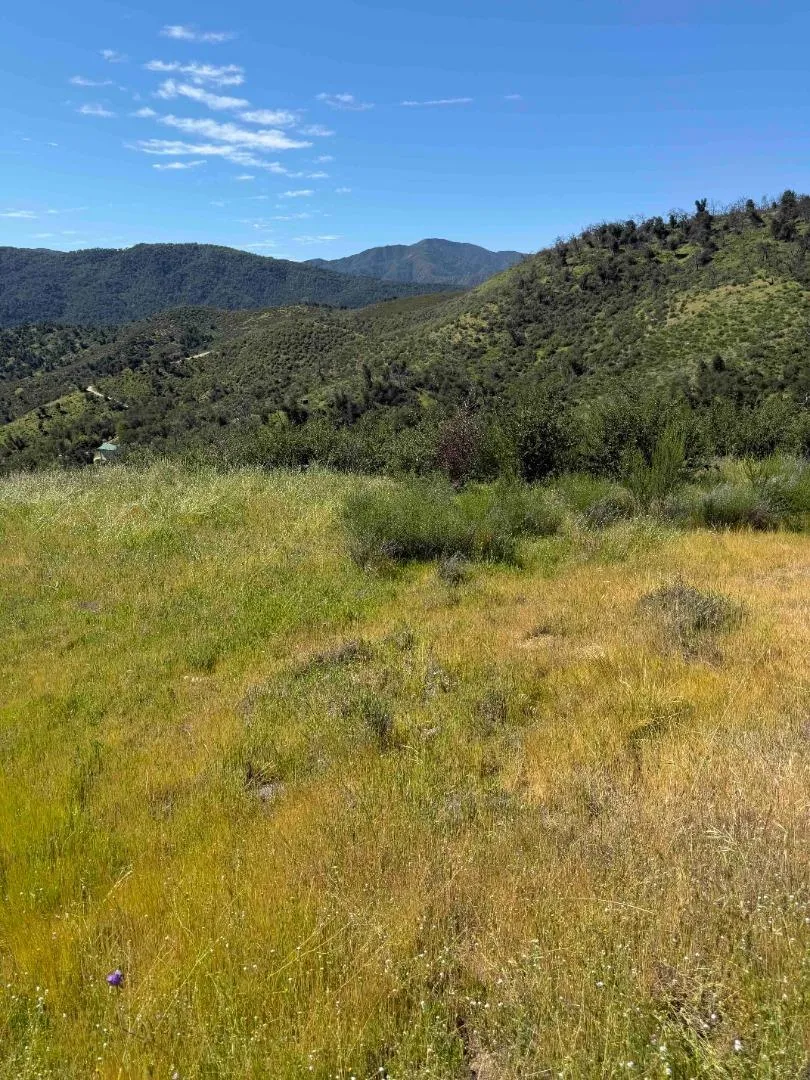 109 Trampa Canyon Road Carmel Valley, CA 93924