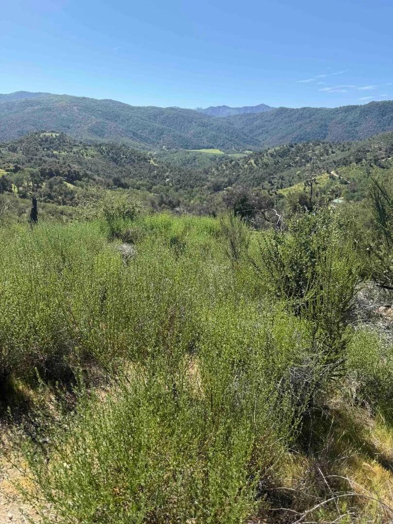 109 Trampa Canyon Road Carmel Valley, CA 93924
