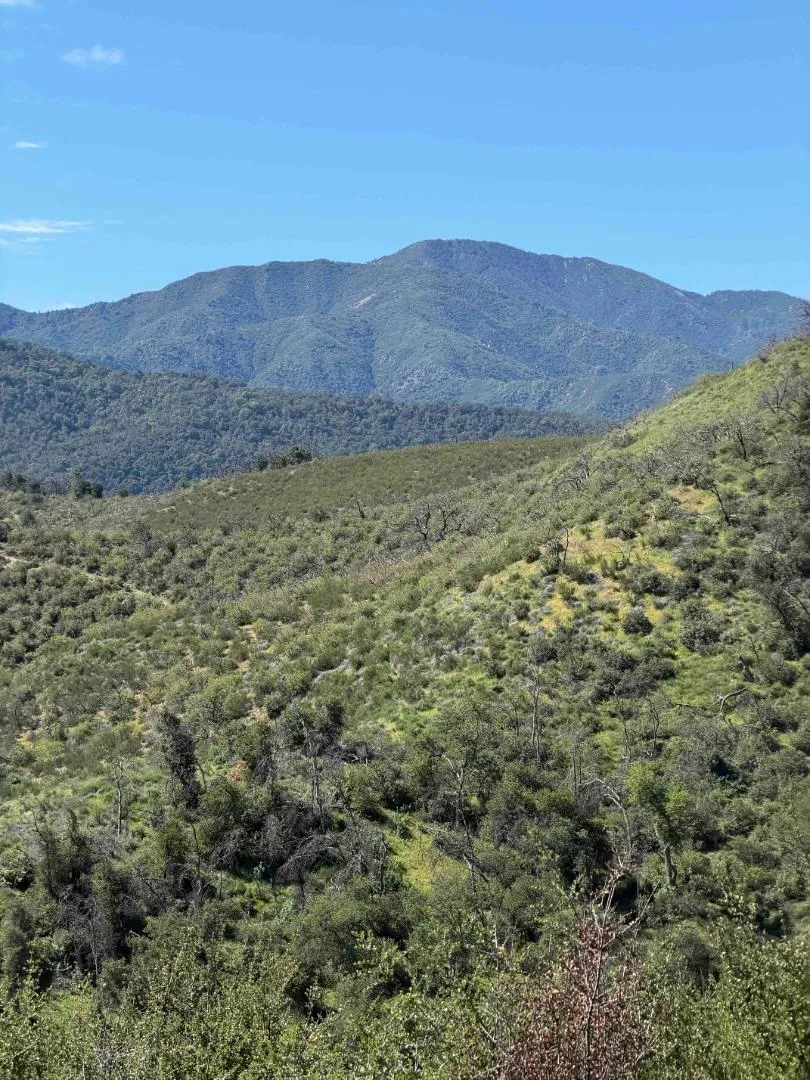 109 Trampa Canyon Road Carmel Valley, CA 93924