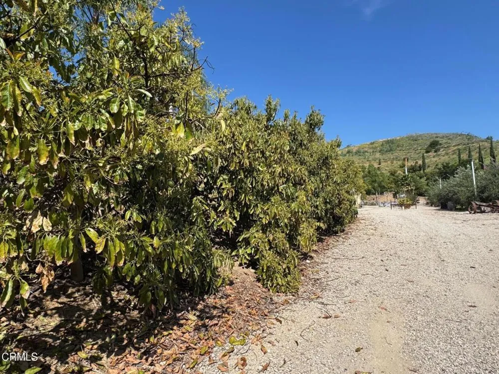 7907 Balcom Canyon Road Somis, CA 93066