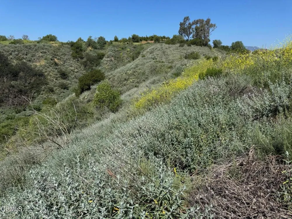 7907 Balcom Canyon Road Somis, CA 93066