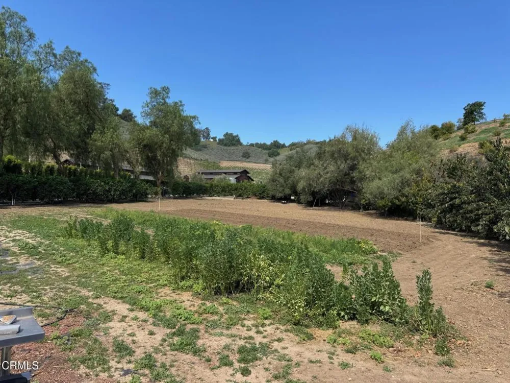 7907 Balcom Canyon Road Somis, CA 93066