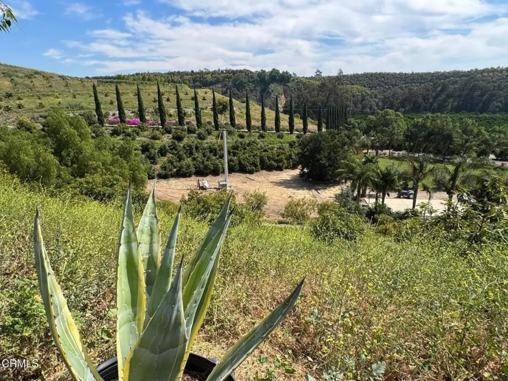 7907 Balcom Canyon Road Somis, CA 93066