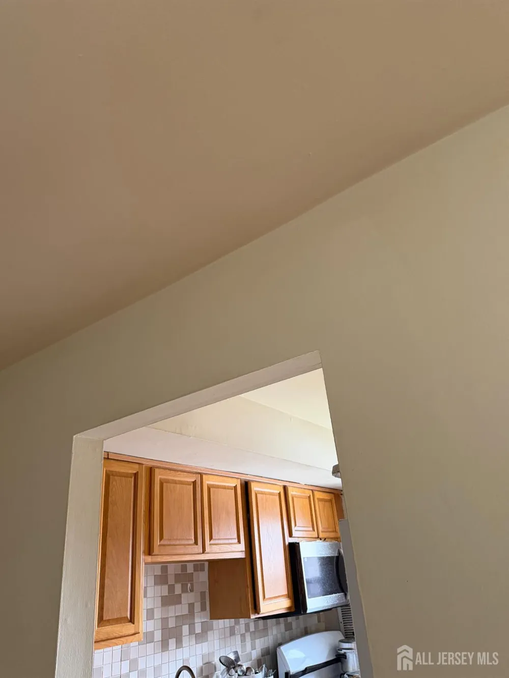 55 Gill Lane #60 Iselin, NJ 08830