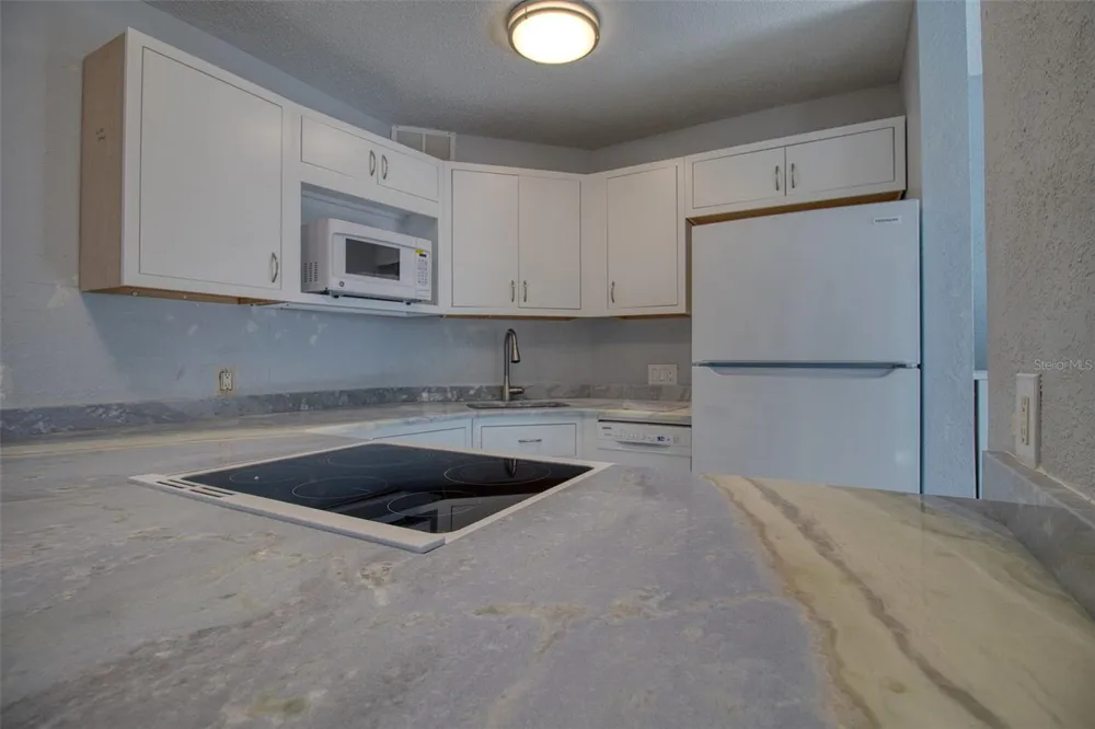 3315 58TH AVENUE S #112 St Petersburg, FL 33712