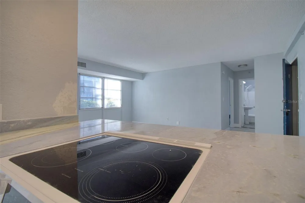 3315 58TH AVENUE S #112 St Petersburg, FL 33712