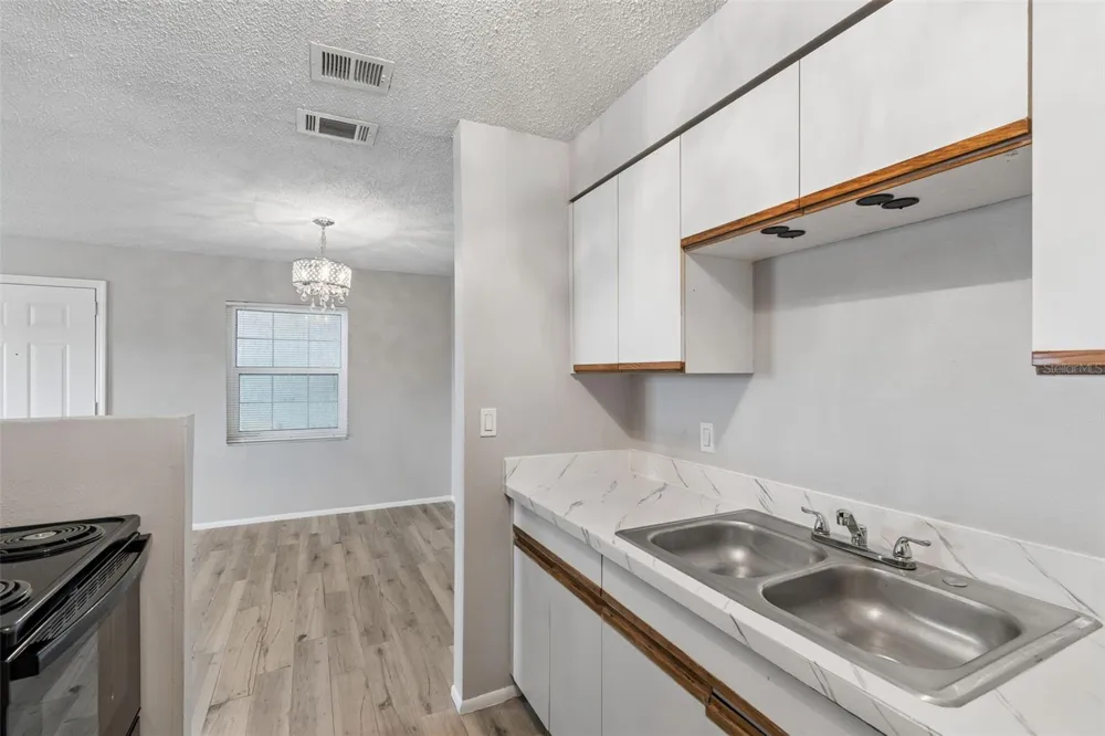 4335 AEGEAN DRIVE #136A Tampa, FL 33611