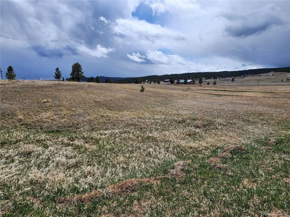 714 Empire Road Florissant, CO 80816