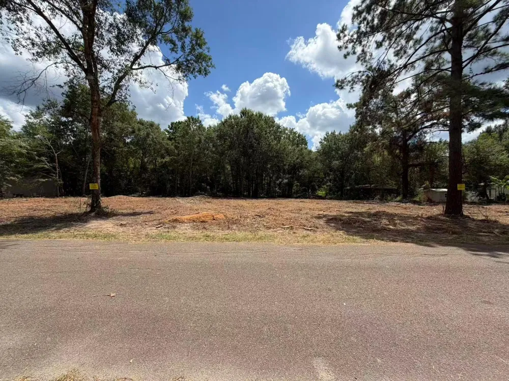 24820 Marks Road Splendora, TX 77372