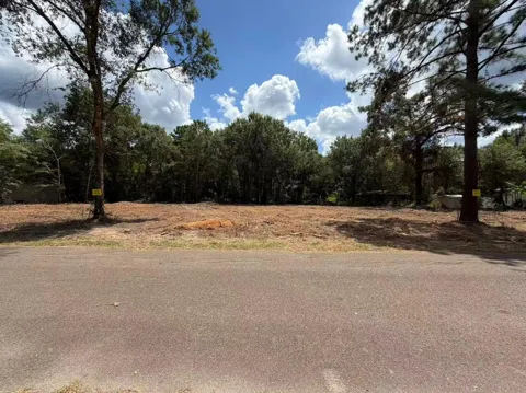 24820 Marks Road