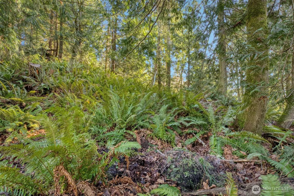 34638 Bridge View Place Kingston, WA 98346