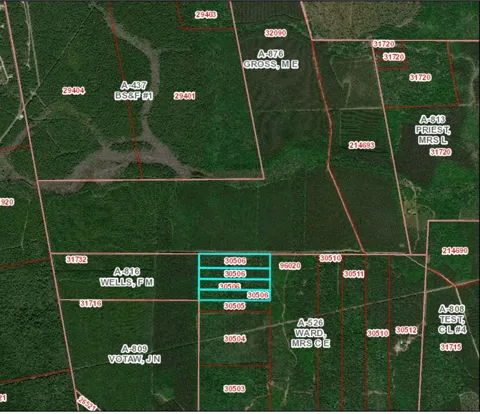 Farm To Market 770 East Of Tx