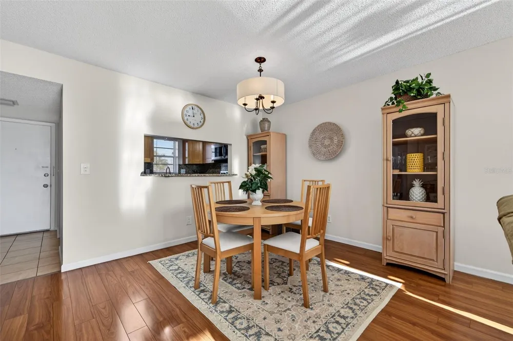 7625 SUN ISLAND DRIVE S #207 South Pasadena, FL 33707