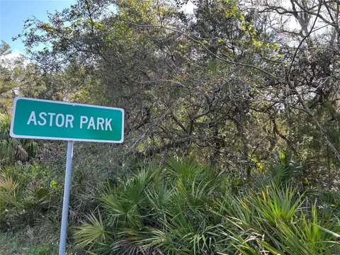 COUNTY ROAD 445A