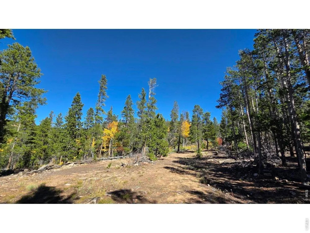 1367 Osage Trail Red Feather Lakes, CO 80545