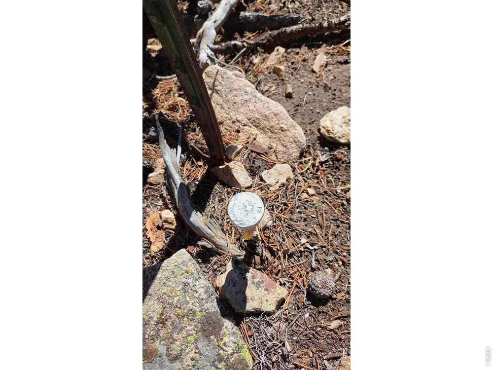 1367 Osage Trail Red Feather Lakes, CO 80545