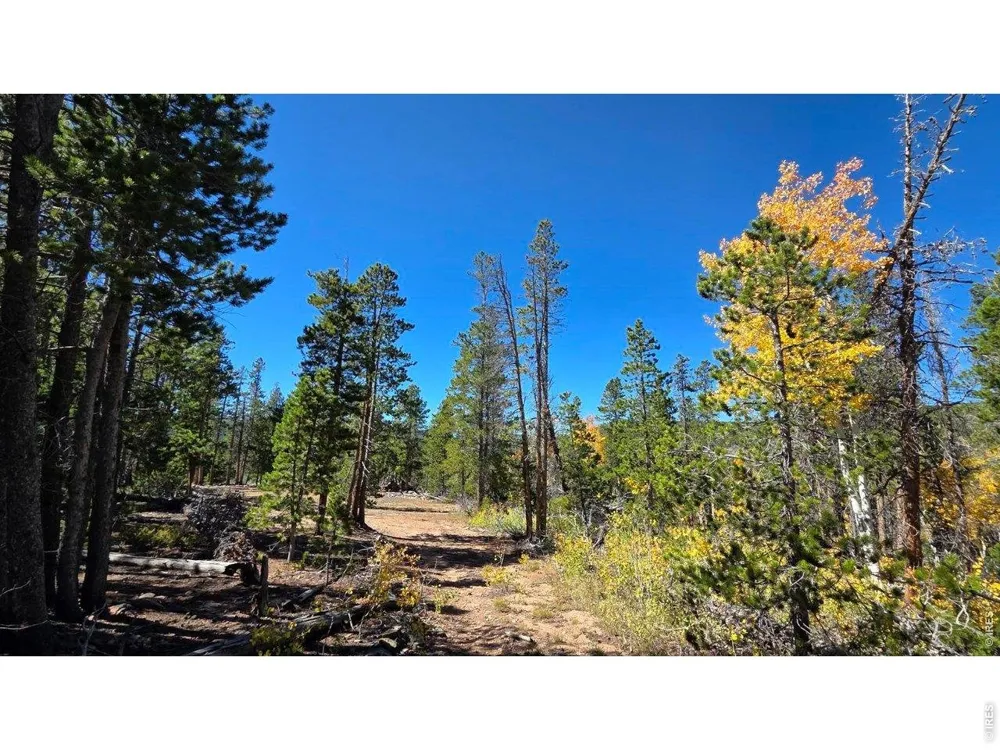 1367 Osage Trail Red Feather Lakes, CO 80545