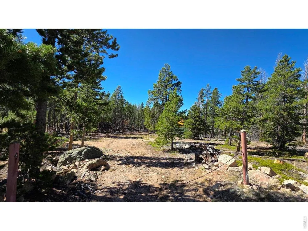 1367 Osage Trail Red Feather Lakes, CO 80545