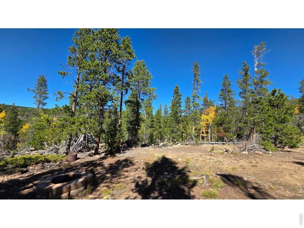 1367 Osage Trail Red Feather Lakes, CO 80545