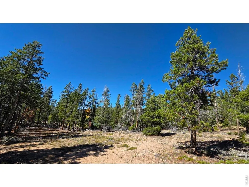 1367 Osage Trail Red Feather Lakes, CO 80545