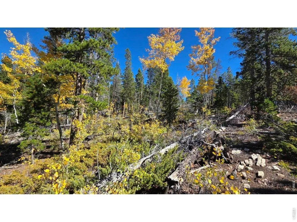 1367 Osage Trail Red Feather Lakes, CO 80545