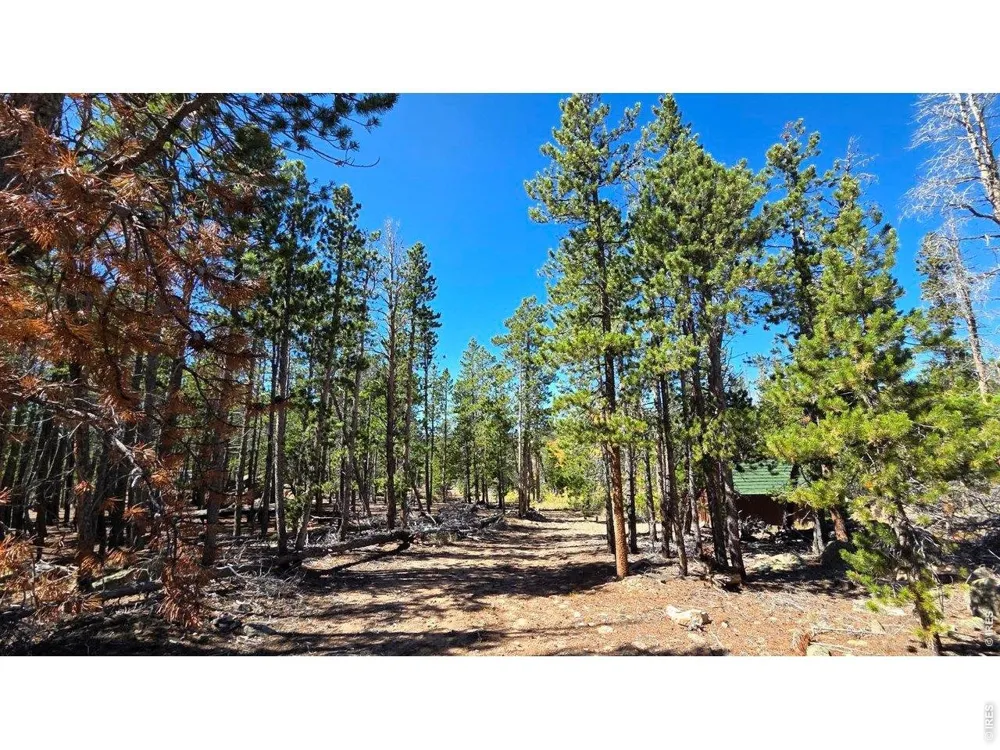 1367 Osage Trail Red Feather Lakes, CO 80545