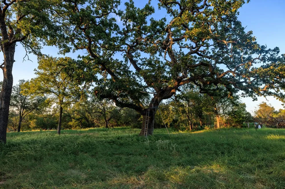 10030 E. Us Highway 290 Fredericksburg, TX 78624