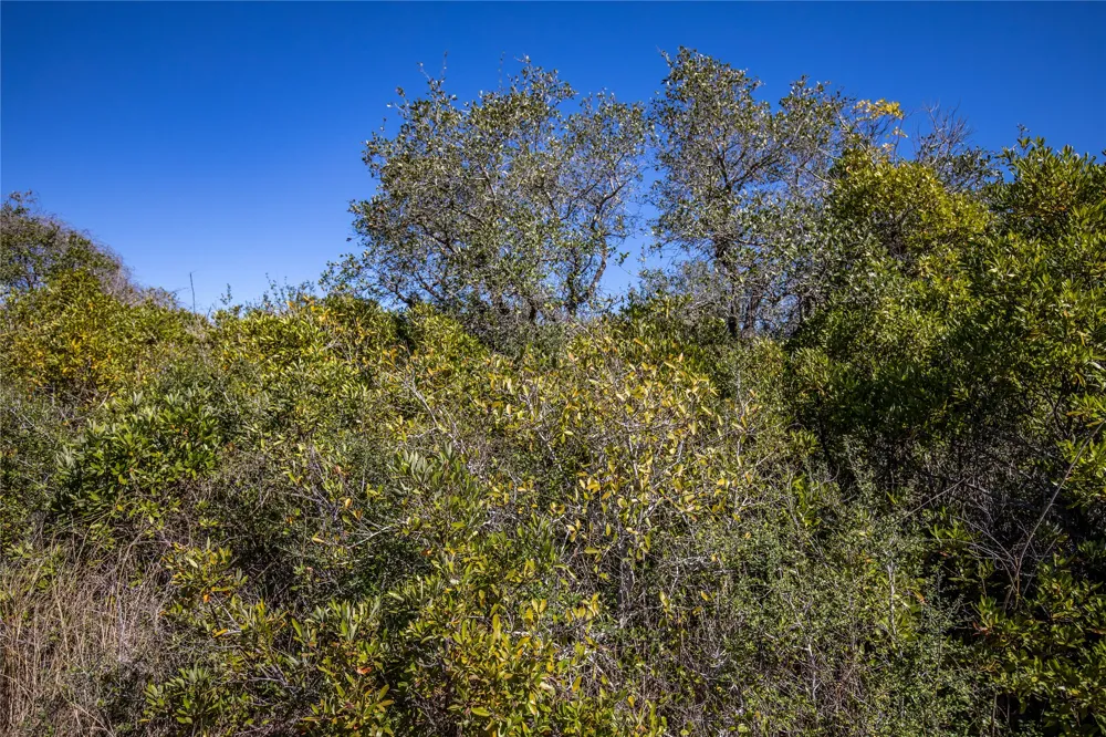 13 Rhodes Avenue Aransas Pass, TX 78368