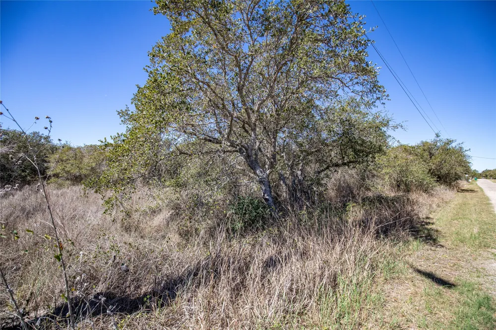 13 Rhodes Avenue Aransas Pass, TX 78368