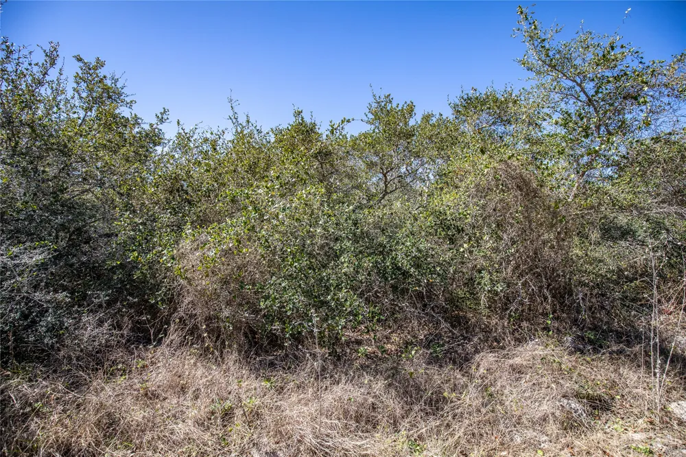 13 Rhodes Avenue Aransas Pass, TX 78368