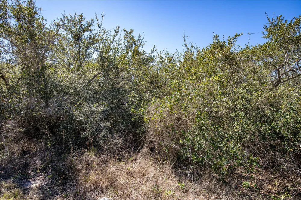 13 Rhodes Avenue Aransas Pass, TX 78368