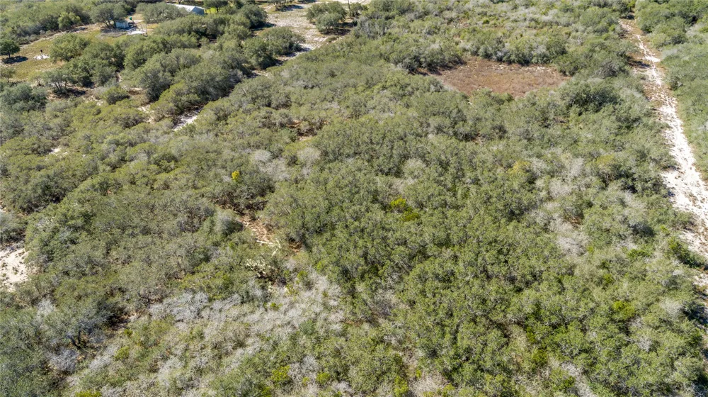 13 Rhodes Avenue Aransas Pass, TX 78368